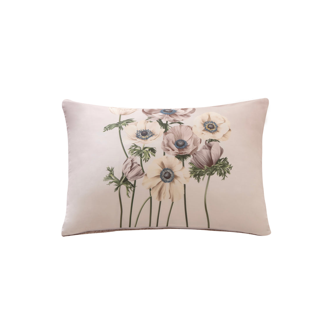 Anemone Pillowshams